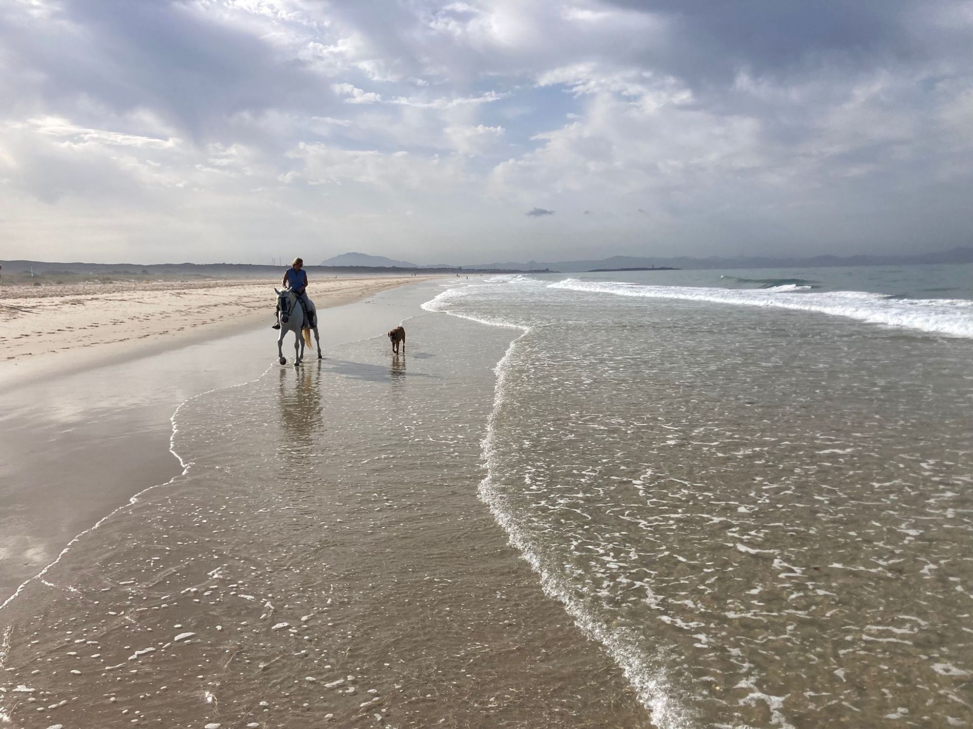 Marion Kreft reitet am Strand von Tarifa, ein Hund läuft nebenher